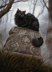 Art Series (36/54) - Nine-Lives Familiar